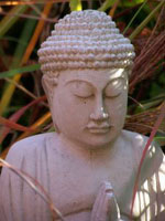 Buddha